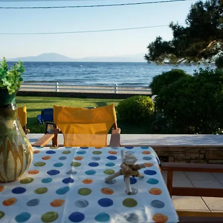 Ar Case de vacanță