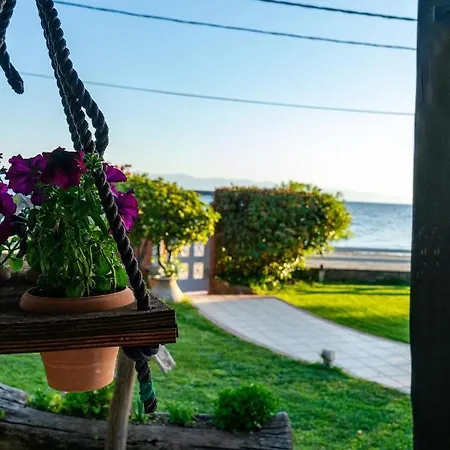 בית נופש Ar Platanidia